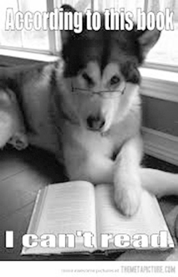 Practice Reading to a Dog!