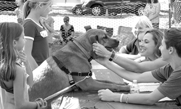 Dog show judges get to know a friendly pooch at Suffield on the Green.