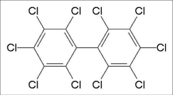 A diagram of the molecular structure of the culprit in the library project delay: polychlorinated biphenyl – a popular plasticizer until it was outlawed in 1979.