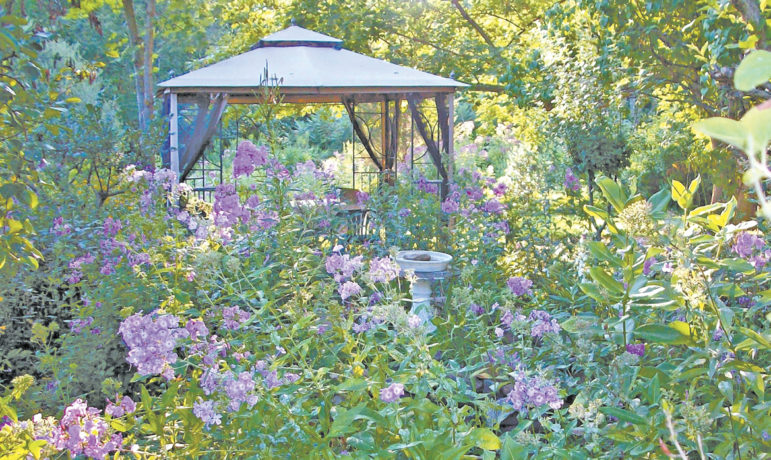 One can imagine the heavy, sweet scent enveloping this gazebo almost hidden in a wilderness of lavender phlox.
