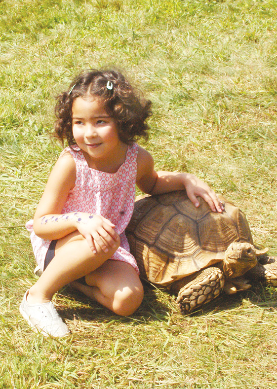 Avery Berg, 4½, and Sid the African Spur-Thighed Tortoise both smile for their portrait during the 2017 Farm Fest at Hilltop Farm on Labor Day. Sid was among the visitors from Adam Harris’s Reptiles & Amphibians program in Avon.