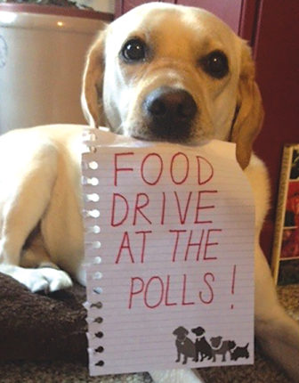 Service Dog Delancy helps to promote the food drive, coming to the polls on November 7.