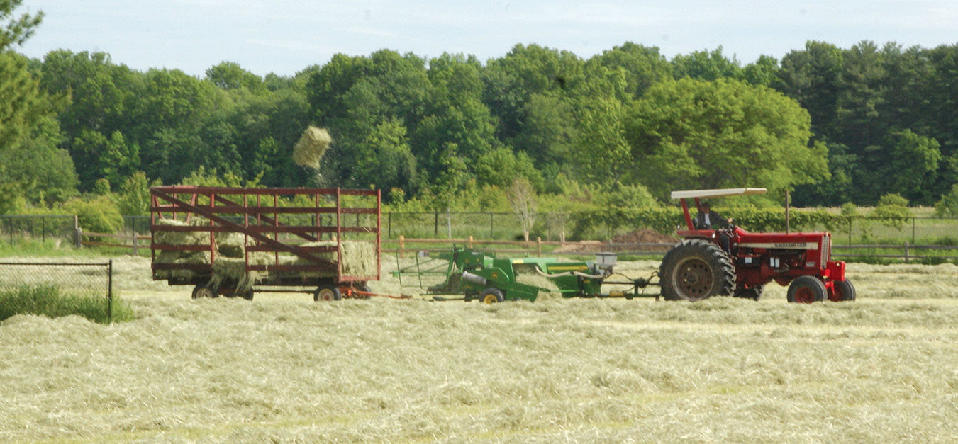 Springtime Haying - The Suffield Observer
